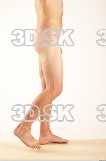 Leg reference of Hanus 0005